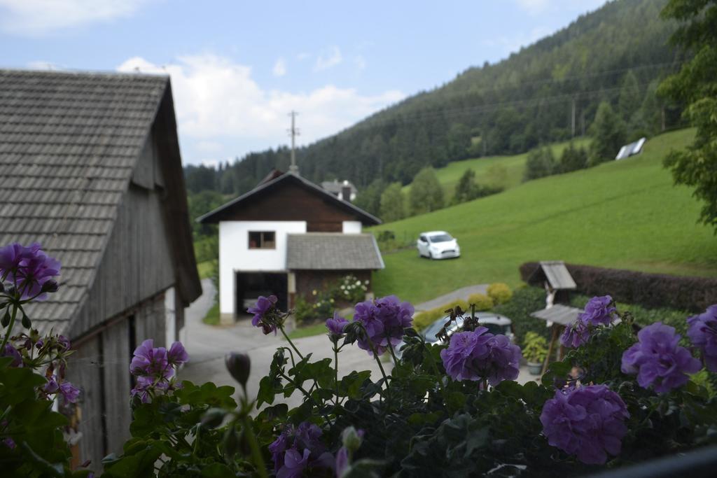 Apartament Haus Tonelehof Dellach im Drautal Zewnętrze zdjęcie